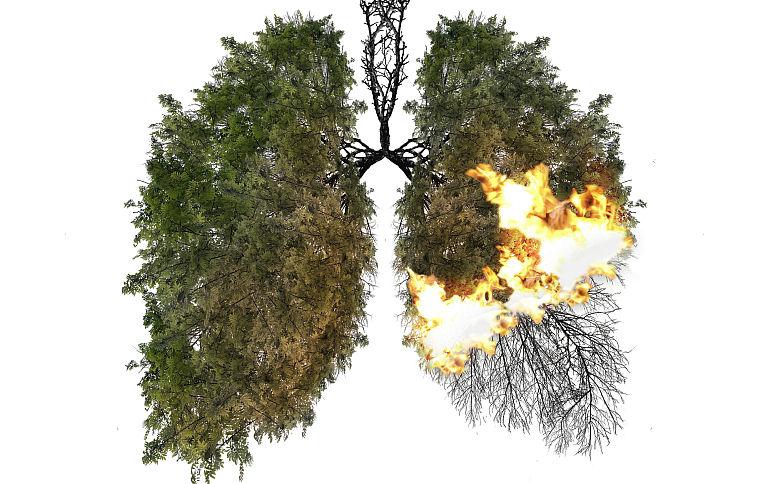 Boli asociate aerului poluat